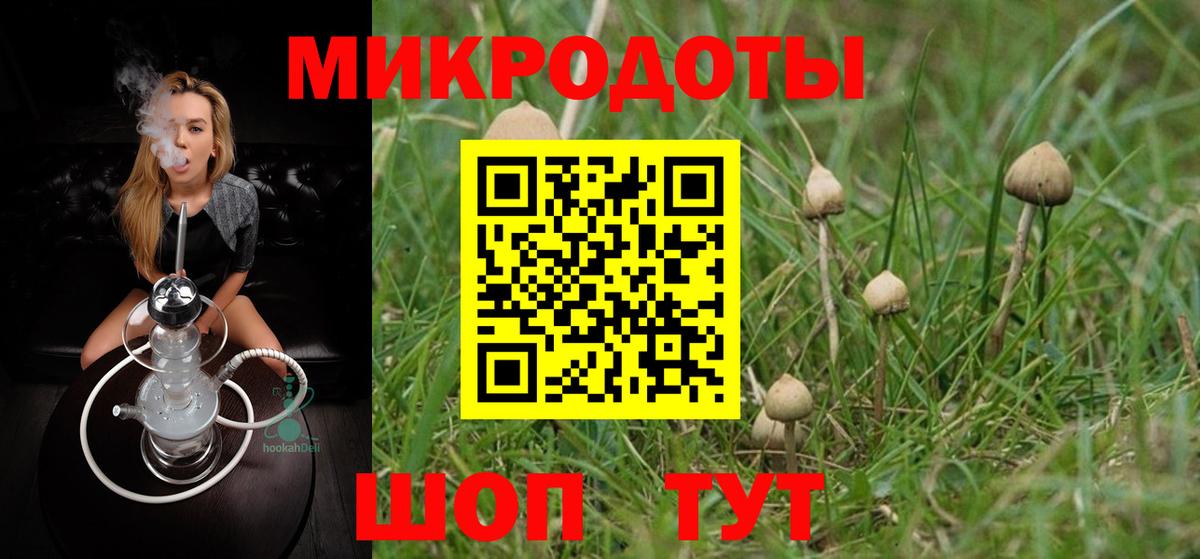 Галлюциногенные грибы GOLDEN TEACHER  сколько стоит  Сунжа  Вход с VPN 